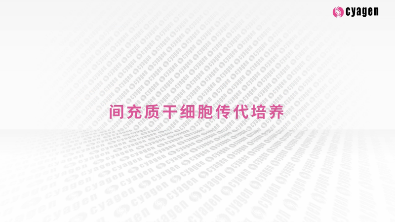 间充质干细胞传代培养视频